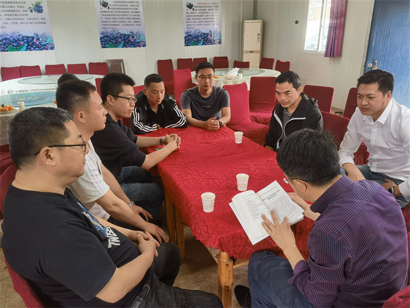 集中学习2.jpg